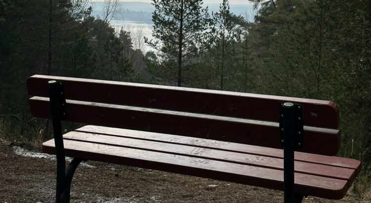 Penkki harjun päällä järvimaisemassa